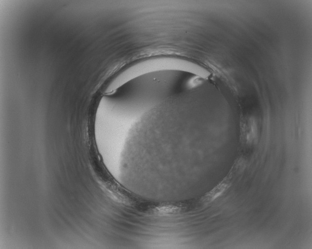 X0000066540158200604141914