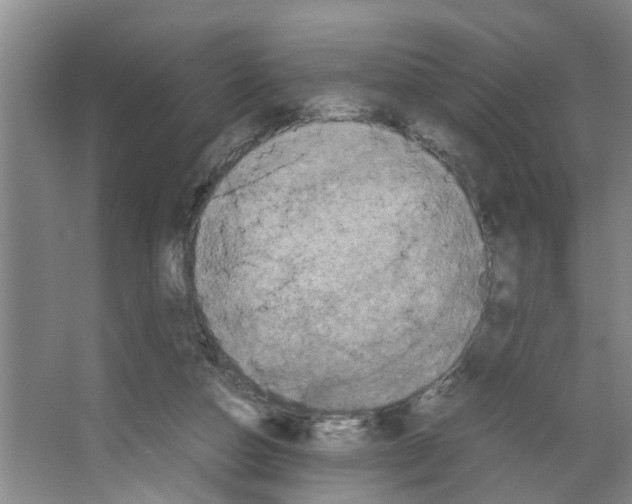 X0000066540162200604141914