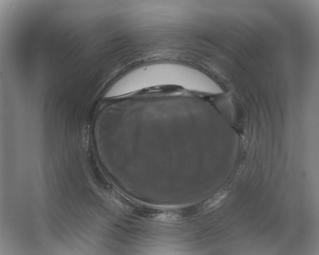 X0000066540168200604141915