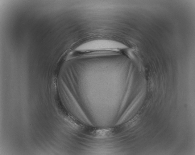 X0000066540172200604141915