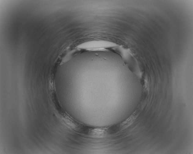 X0000066540176200604141915