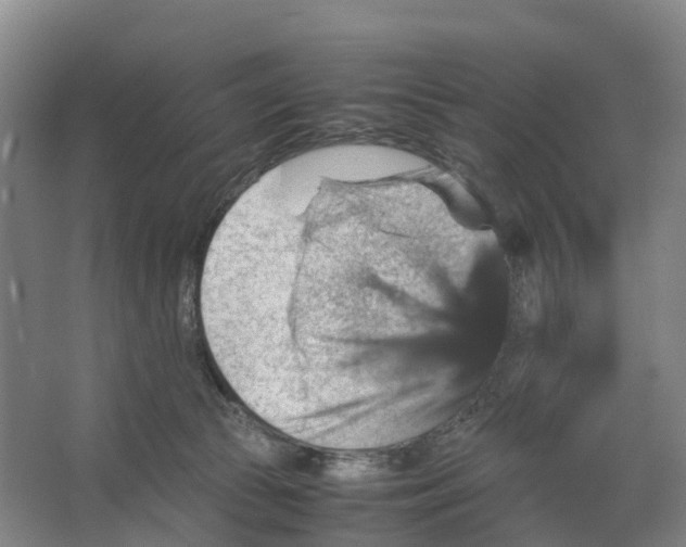 X0000066540177200604141915