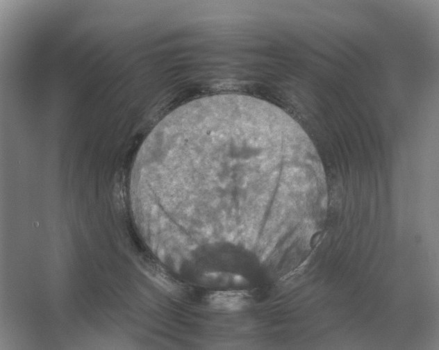X0000066540179200604141915