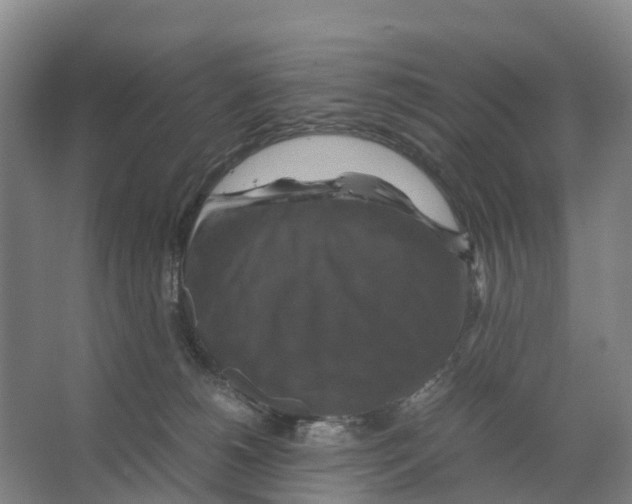 X0000066540180200604141915
