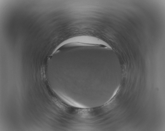 X0000066540182200604141915