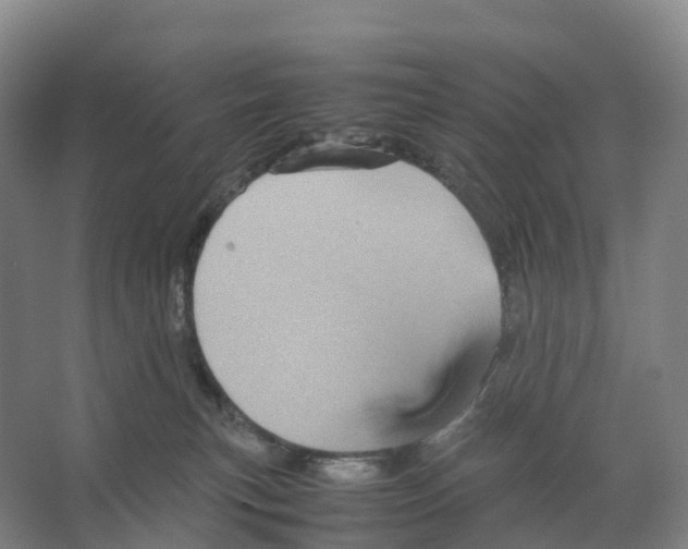 X0000066540183200604141915