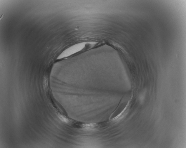 X0000066540192200604141915