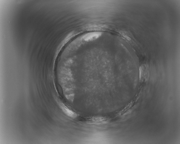 X0000066540195200604141914