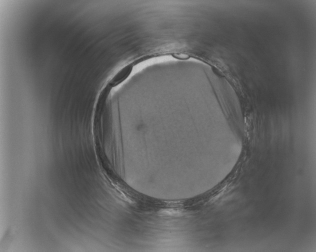 X0000066540196200604141914