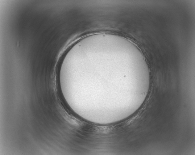 X0000066540198200604141914