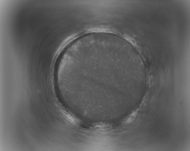 X0000066540199200604141914