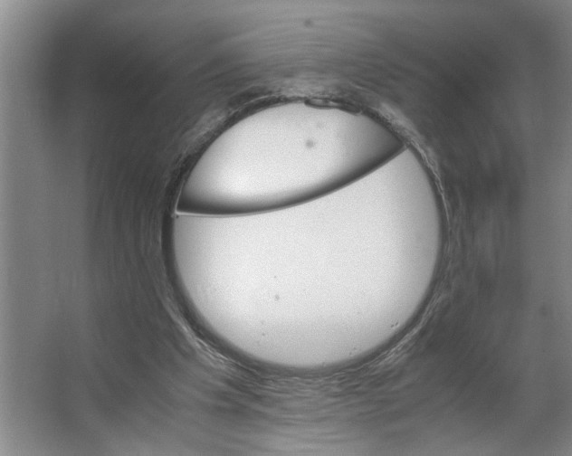 X0000066540201200604141914