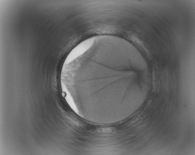 X0000066540202200604141914