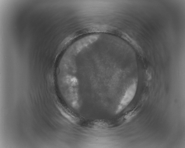X0000066540203200604141914