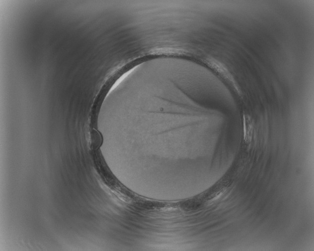 X0000066540204200604141914