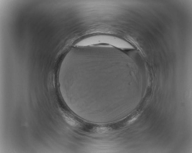 X0000066540205200604141914