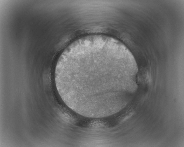 X0000066540207200604141914
