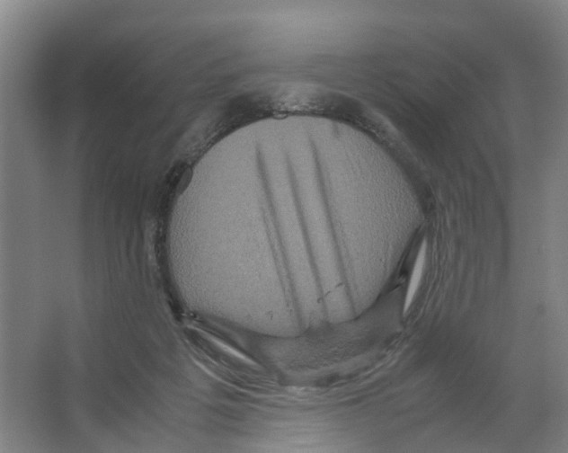 X0000066540217200604141914