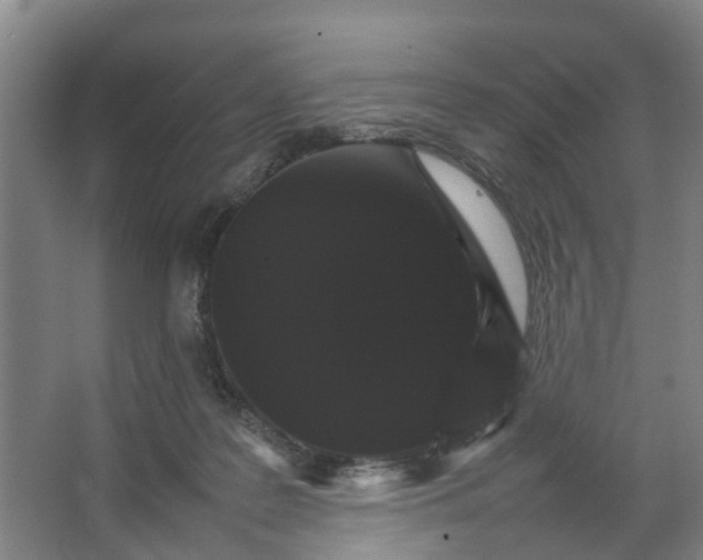 X0000066540219200604141914