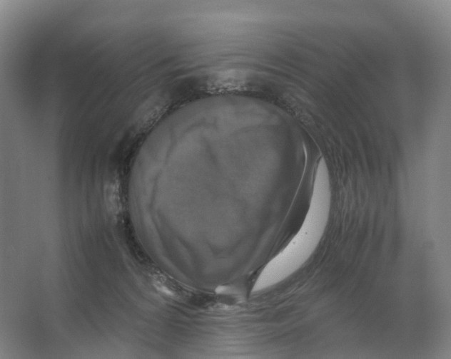 X0000066540224200604141914