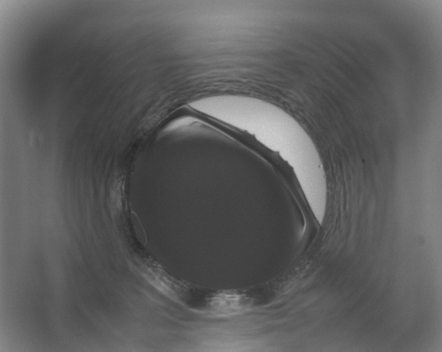X0000066540227200604141914