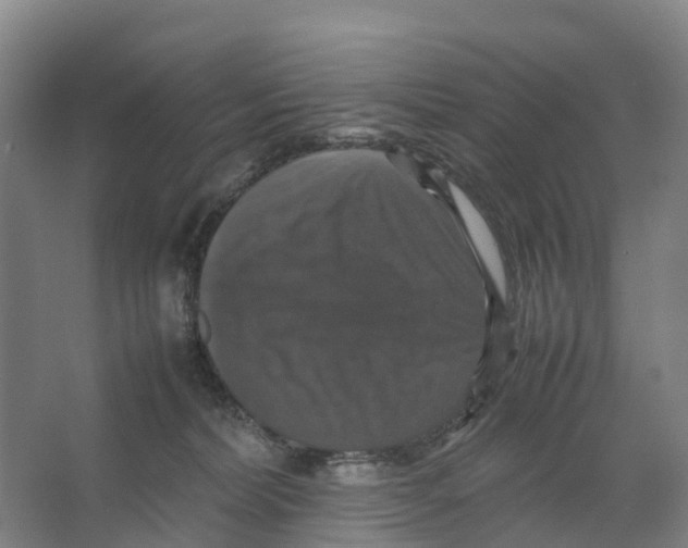 X0000066540228200604141914