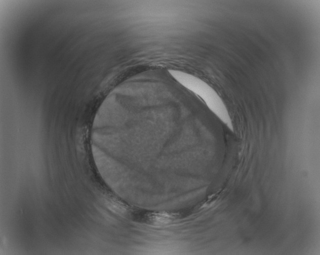 X0000066540229200604141914