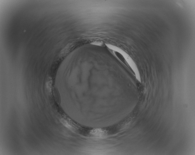 X0000066540231200604141913