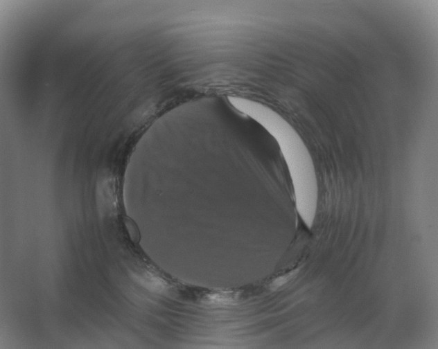 X0000066540232200604141913