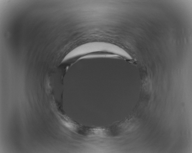 X0000066540233200604141913