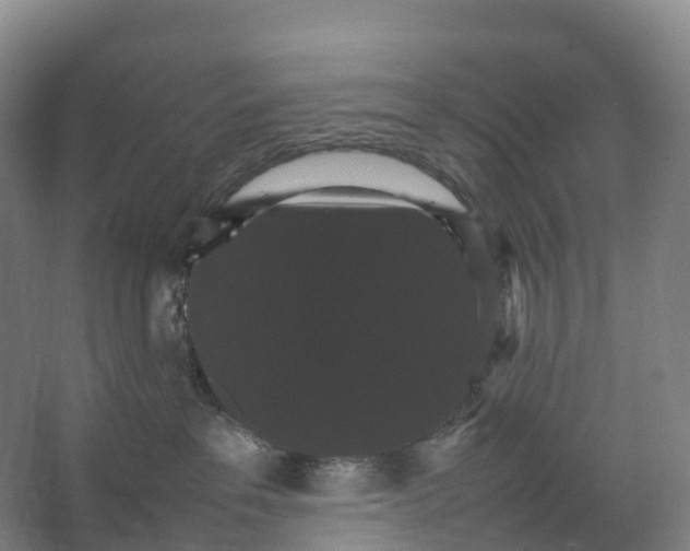 X0000066540237200604141913