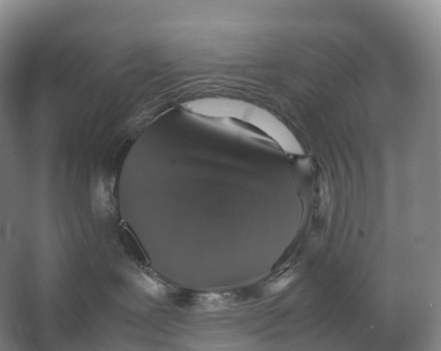 X0000066540239200604141913
