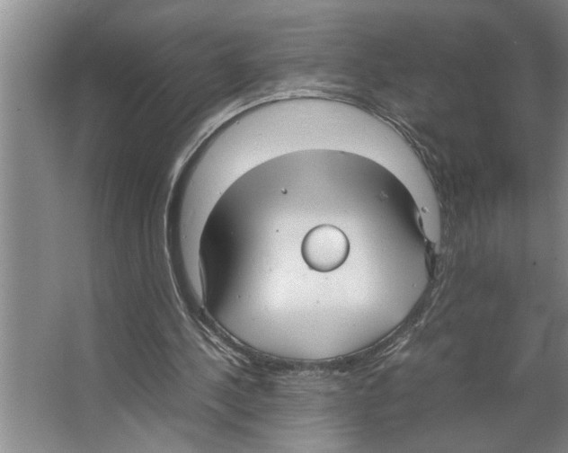 X0000066540244200604141913