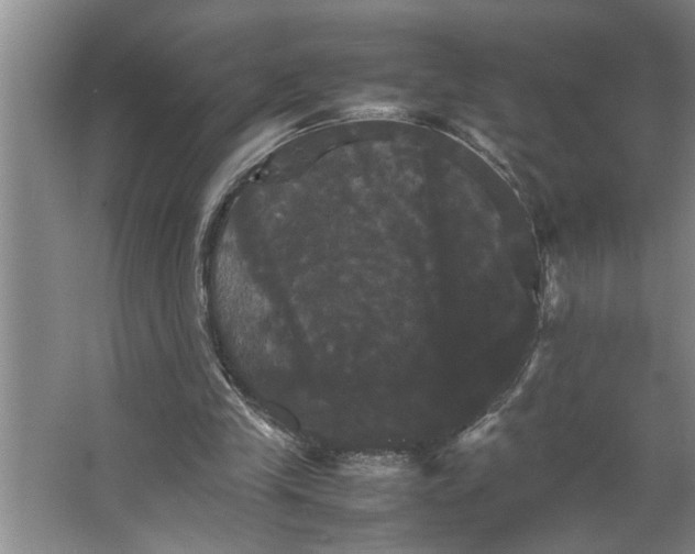 X0000066540245200604141913