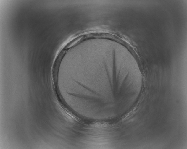 X0000066540248200604141913