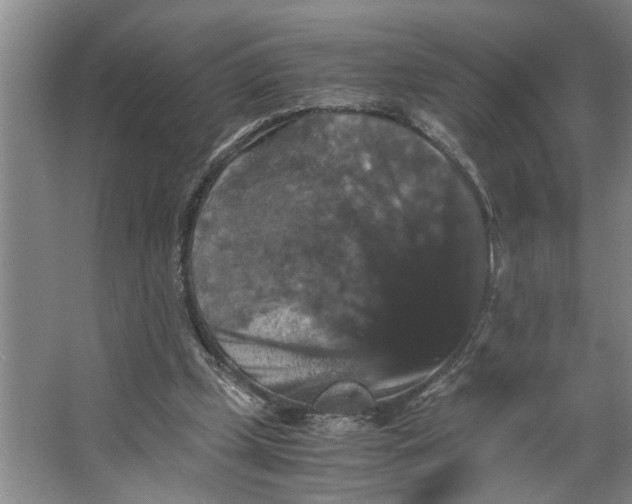 X0000066540249200604141913