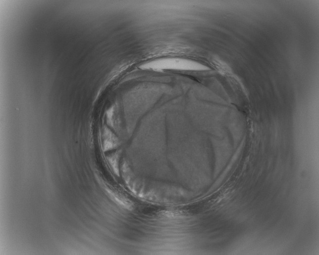 X0000066540250200604141913