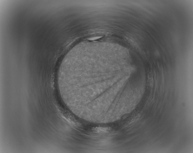 X0000066540255200604141913
