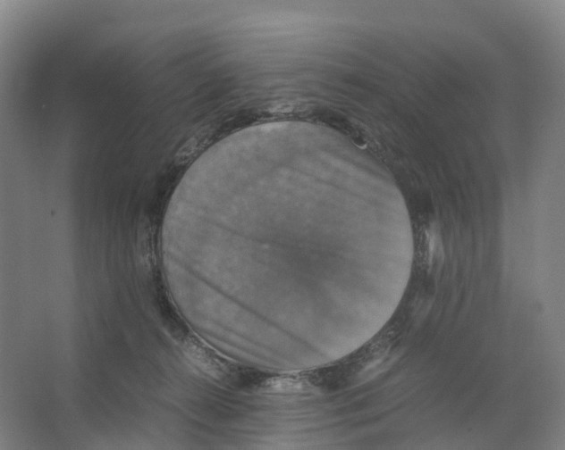 X0000066540272200604141913