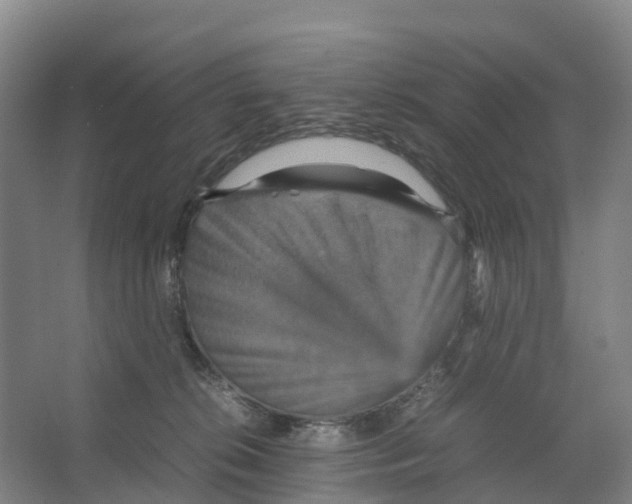X0000066540276200604141913