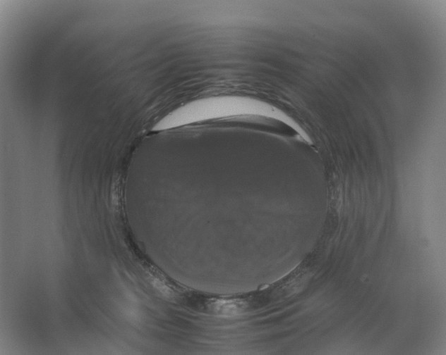 X0000066540277200604141913