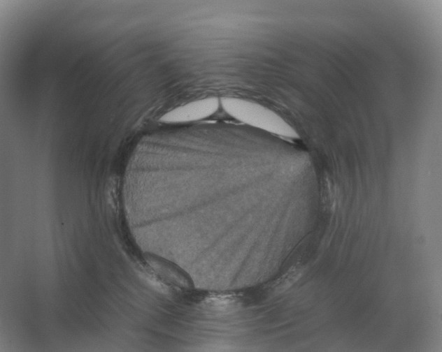 X0000066540280200604141913