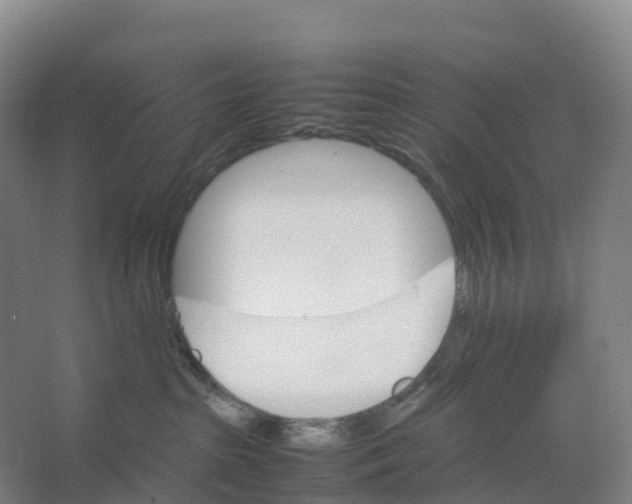 X0000066540285200604141913