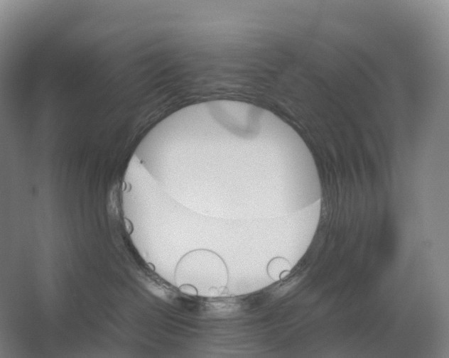 X0000066540286200604141913