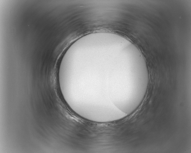 X0000066540290200604141912