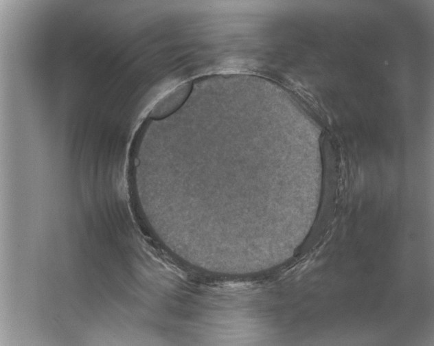 X0000066540292200604141912