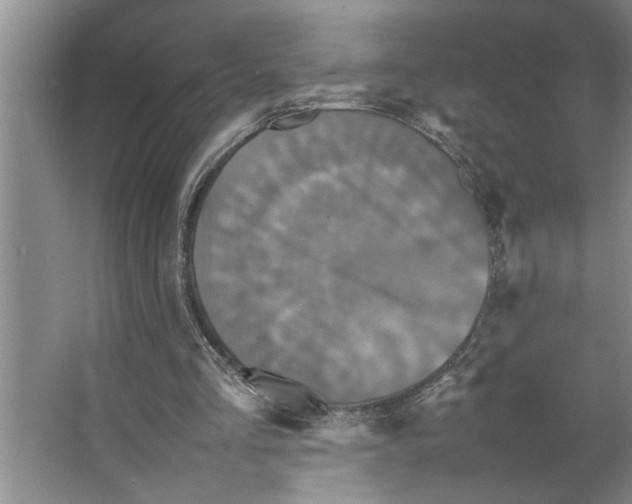X0000066540293200604141912