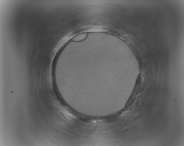 X0000066540296200604141912
