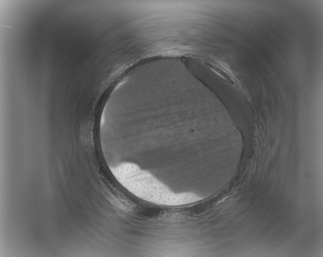 X0000066540299200604141912