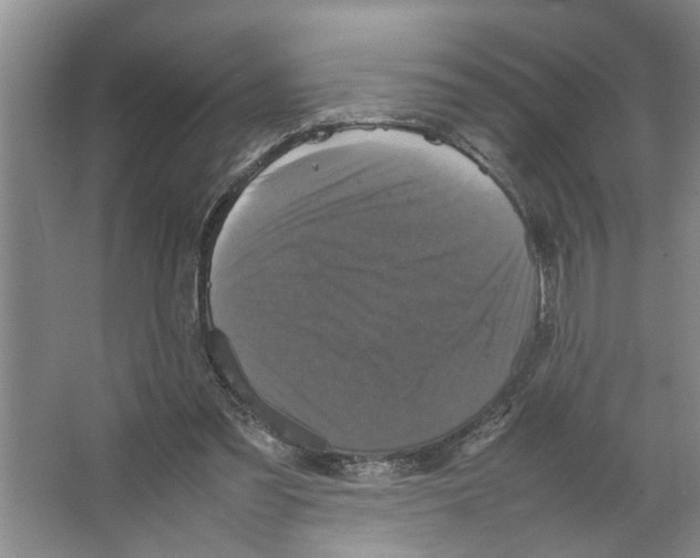 X0000066540301200604141912